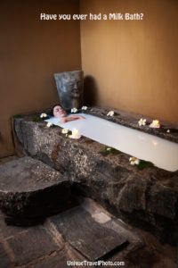Wellness — 2